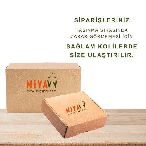 Mıamor Vd Tavuklu Yavru Kedi Çorbası 135 Ml