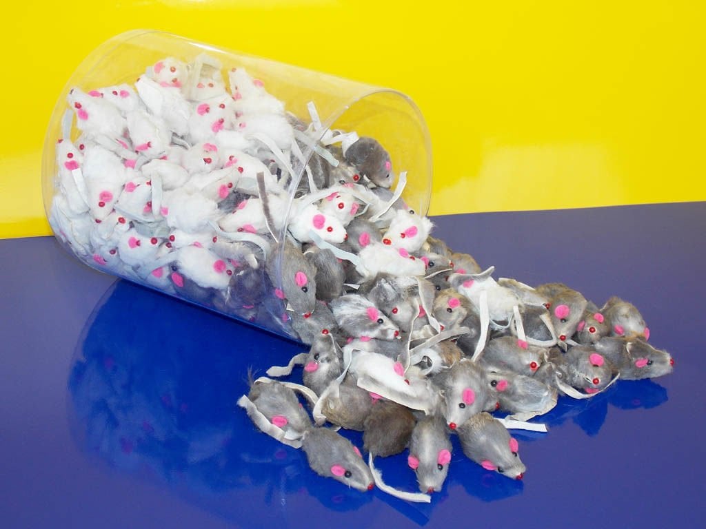 Eastland Oyuncak Fare       5 Cm (220 Ad.)