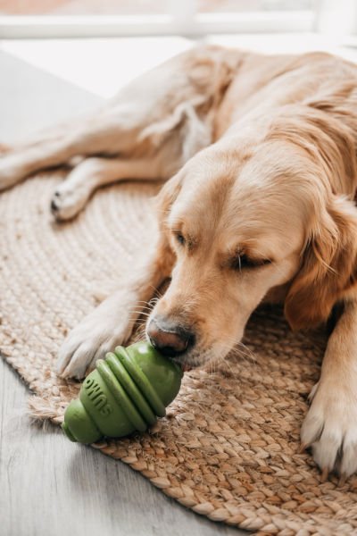 Beeztees Sumo Dayanıklı Dental Oyuncak M Yeşil