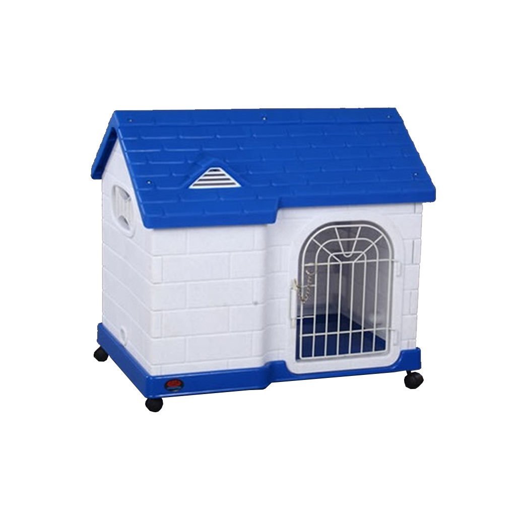 Dayang Kedi  Kafes Mavi