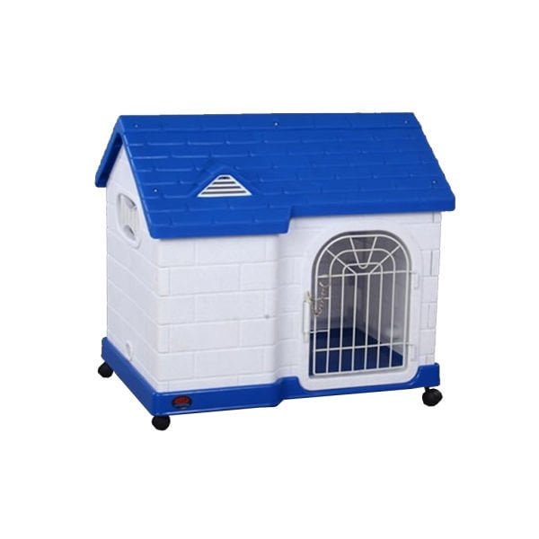 Dayang Kedi  Kafes Mavi