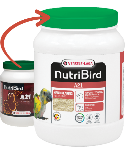 Versele Laga Nutrıbırd A21 Elle Yetiştirme Maması 800g