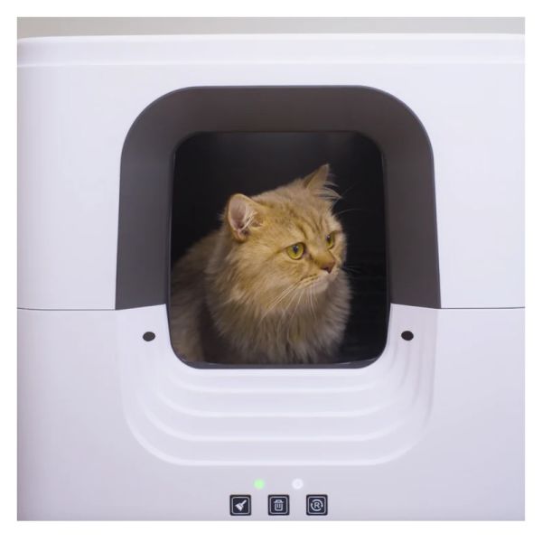 Aclıum Otomatik Kedi Tuvaleti 55x57x65cm