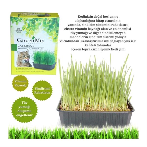 Garden Mix Büyük Boy Kedi Çimi