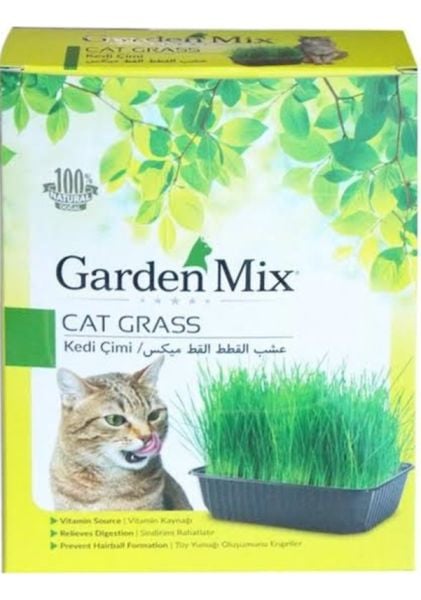 Garden Mix Büyük Boy Kedi Çimi