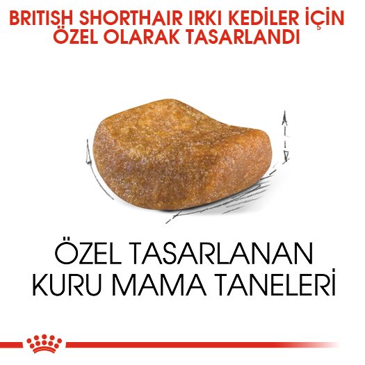 Royal Canin British Shorthair Kedi Maması 2 Kg