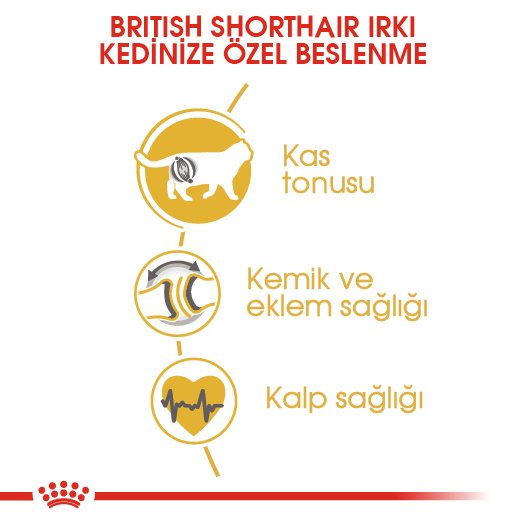 Royal Canin British Shorthair Kedi Maması 2 Kg
