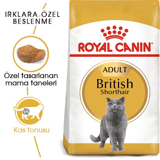 Royal Canin British Shorthair Kedi Maması 2 Kg