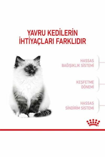 Royal Canin Kitten Yavru Kedi Maması - 2 kg