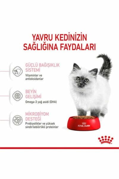 Royal Canin Kitten Yavru Kedi Maması - 2 kg