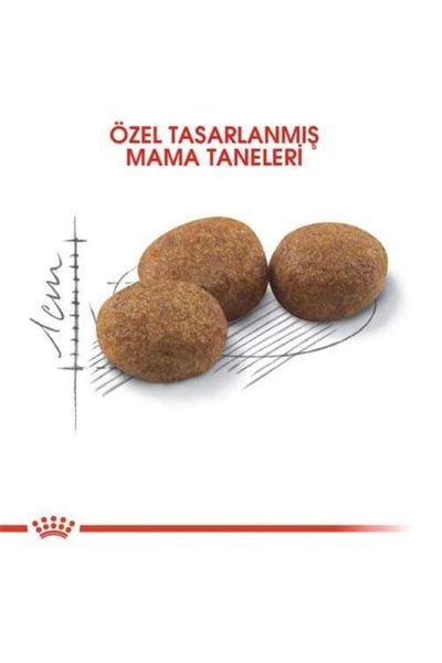 Royal Canın Kısırlaştırılmış Yetişkin Kedi Maması - 2 kg
