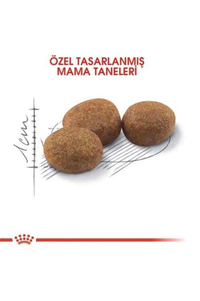 Royal Canın Kısırlaştırılmış Yetişkin Kedi Maması - 2 kg