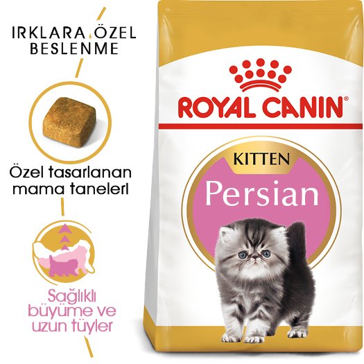Royal Canin Persian Irka Özel Yavru Kedi Maması 2 kg
