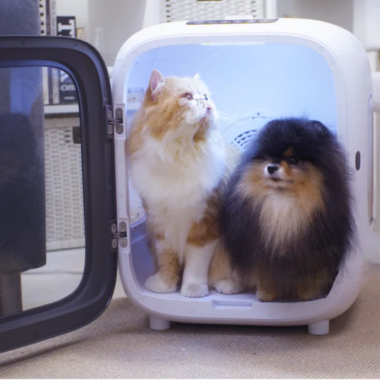 Aclıum Köpek Kurutucu 35w