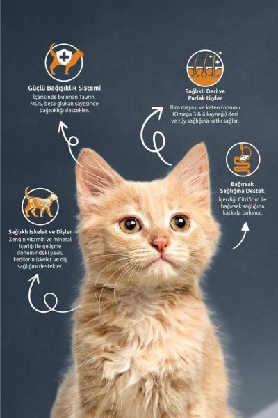 Reflex Kitten Tavuklu Ve Pirinçli Yavru Kedi Maması 2 Kg